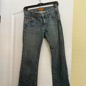 Boot Cut James Jeans size 26 - like new